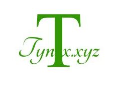 Tynex Insurance